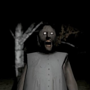 Granny 2 Asylum Horror House