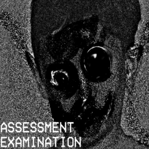 Assessment Examination