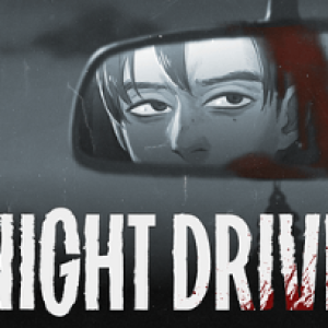 Night Drive Night Drive